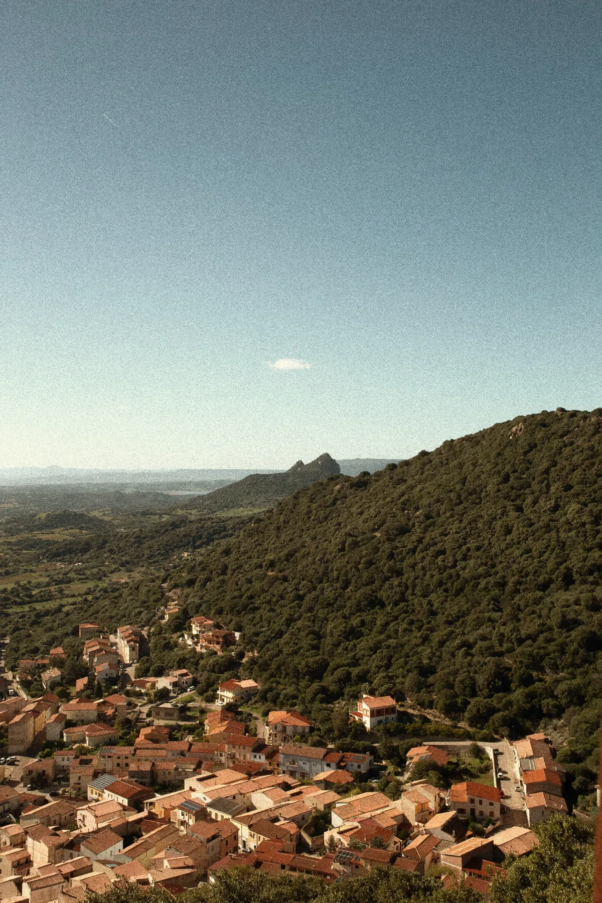 Sámbene Summer Fest — Berchidda, Gallura (Luglio 2026)