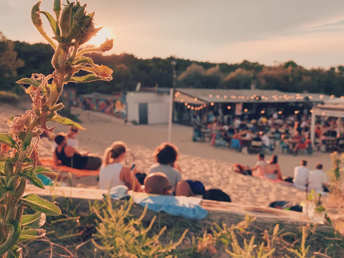 Beaches Brew Festival
