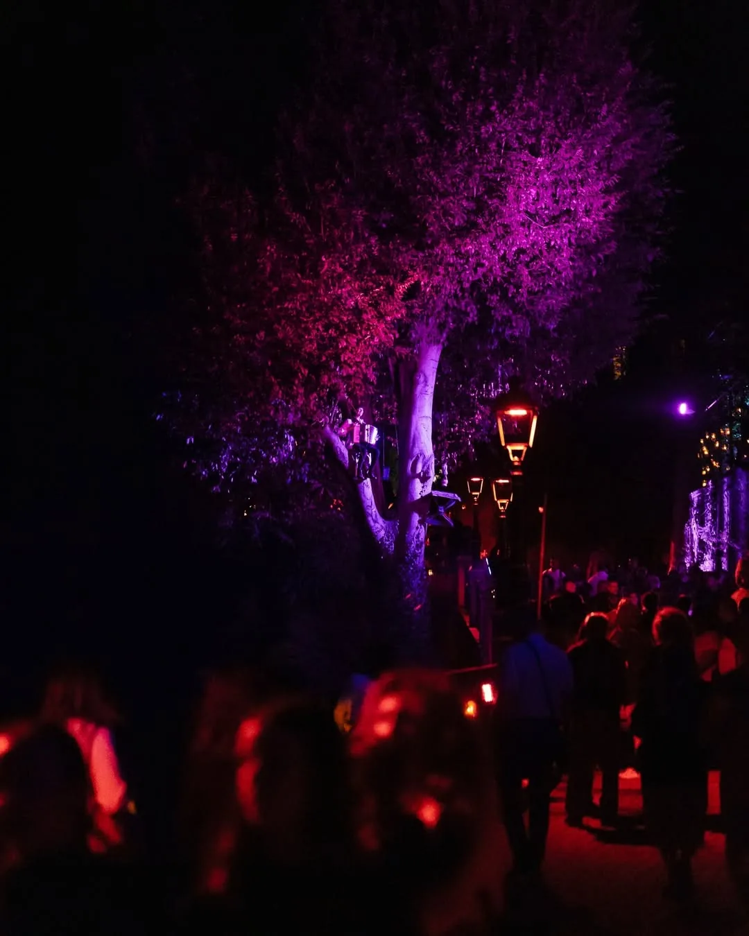 Moon Festival, musica sotto le stelle